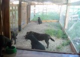 Жилищно-коммунальное хозяйство и градостроительство Жилищно-коммунальное хозяйство и градостроительство