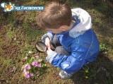 Мне говорят, что нет диплома... Мне говорят, что нет диплома...
