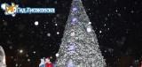 Елочка зажгись Елочка зажгись