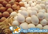 Куриное яйцо из стабилизационного фонда
