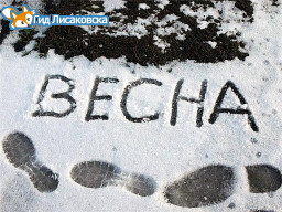 Месят снежную кашу Месят снежную кашу