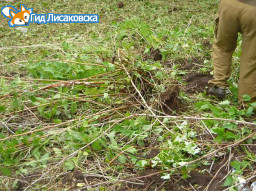 В пасмурные дни вообще тёмно В пасмурные дни вообще тёмно