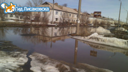 Не выполняет ваши поручения Не выполняет ваши поручения