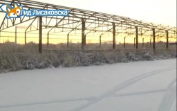 В следующем году появится теплица