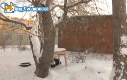 О самоубийстве