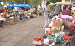 В Лисаковске хотят перенести рынок дачной продукции
