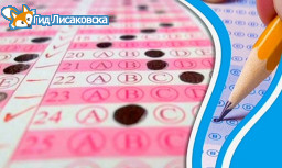 Все выпускники будут сдавать казахский язык в этом году — Сагадиев Все выпускники будут сдавать казахский язык в этом году — Сагадиев