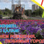 Программа праздничных мероприятий "Тын-Целина-2018" и Дня города