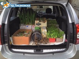 Жителям Лисаковска разрешили ездить на дачи Жителям Лисаковска разрешили ездить на дачи