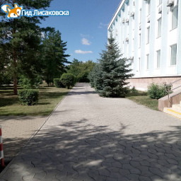 О погоде в Лисаковске 9 августа О погоде в Лисаковске 9 августа