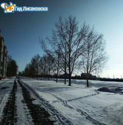 О погоде в Лисаковске 19 февраля О погоде в Лисаковске 19 февраля