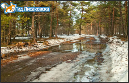 О погоде в Лисаковске 12 апреля О погоде в Лисаковске 12 апреля