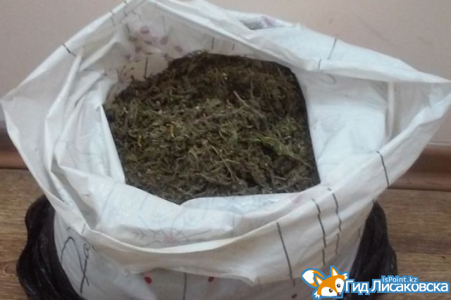 28-летний житель Лисаковска организовал преступную группу