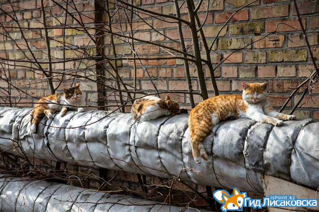 В Лисаковске стартовал отопительный сезон