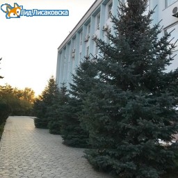 О погоде в Лисаковске 9 октября О погоде в Лисаковске 9 октября