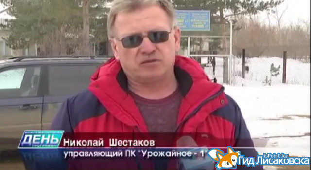 Как пережили зиму сады города Лисаковск