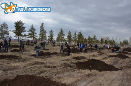 В Лисаковске прошла массовая посадка деревьев В Лисаковске прошла массовая посадка деревьев