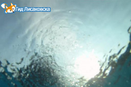 Утонул молодой человек
