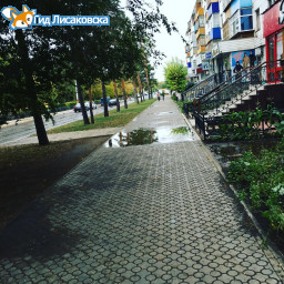 О погоде в Лисаковске 6 сентября
