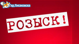 В Лисаковске пропала несовершеннолетняя девушка В Лисаковске пропала несовершеннолетняя девушка