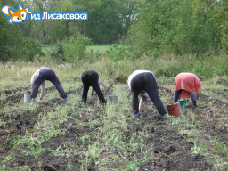 Выросли членские взносы “Урожайное – 1” в Лисаковске Выросли членские взносы “Урожайное – 1” в Лисаковске
