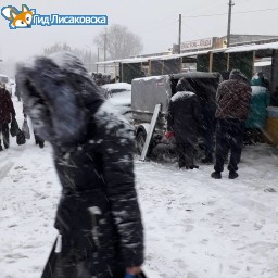 Из-за плохой погоды в Лисаковске отменили сельскохозяйственную ярмарку