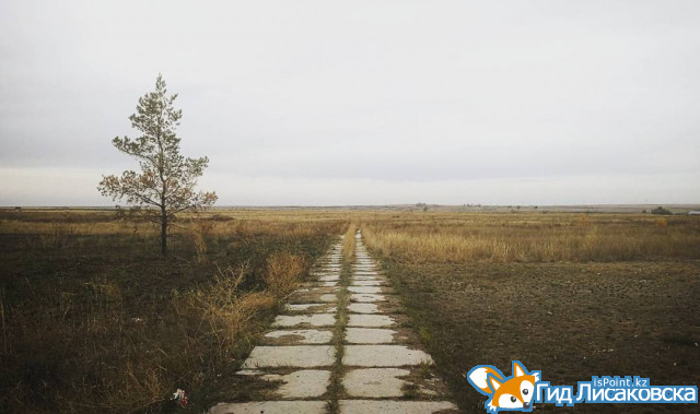 О погоде в Лисаковске 20 октября