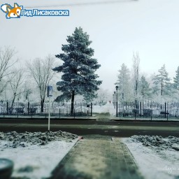 О погоде в Лисаковске 21 декабря О погоде в Лисаковске 21 декабря