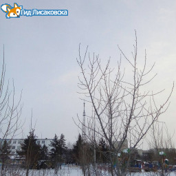 О погоде в Лисаковске 29 декабря О погоде в Лисаковске 29 декабря