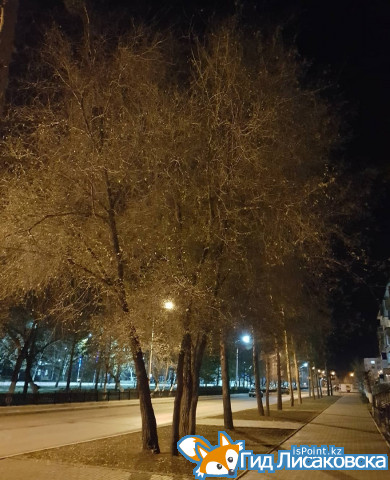 О погоде в Лисаковске 16 ноября