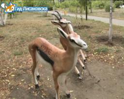 По улицам Лисаковска прошли вандалы По улицам Лисаковска прошли вандалы