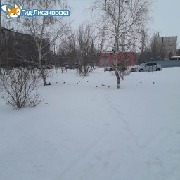 О погоде в Лисаковске 13 февраля О погоде в Лисаковске 13 февраля