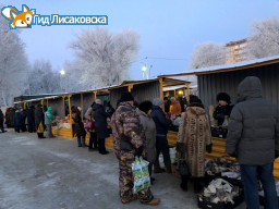 График сельскохозяйственных ярмарок-2019 утвердили в Лисаковске График сельскохозяйственных ярмарок-2019 утвердили в Лисаковске