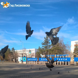 О погоде в Лисаковске 15 ноября О погоде в Лисаковске 15 ноября