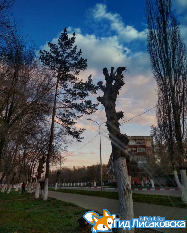 О погоде в Лисаковске 5 мая