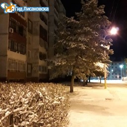 О погоде в Лисаковске 21 ноября О погоде в Лисаковске 21 ноября