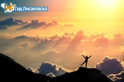 Линия жизни Линия жизни