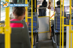 В Лисаковске подорожает проезд в автобусах маршрута №30 В Лисаковске подорожает проезд в автобусах маршрута №30