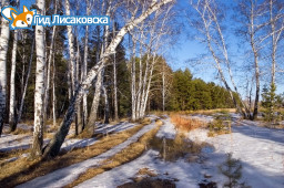 Какой будет погода в Лисаковске во вторник 11 апреля Какой будет погода в Лисаковске во вторник 11 апреля