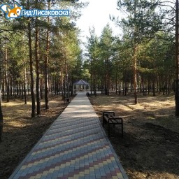О погоде в Лисаковске 23 августа О погоде в Лисаковске 23 августа