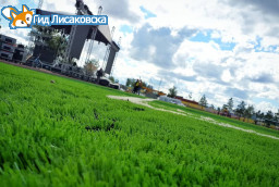 Какой будет погода на День города в Лисаковске Какой будет погода на День города в Лисаковске