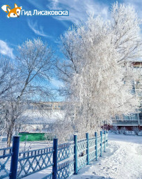 О погоде в Лисаковске 13 января О погоде в Лисаковске 13 января