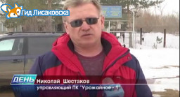 Как пережили зиму сады города Лисаковск