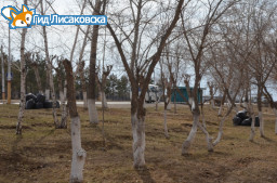 В Лисаковске состоялся общегородской субботник