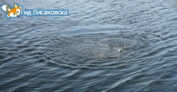 17-летний парень утонул в реке в Лисаковске 17-летний парень утонул в реке в Лисаковске