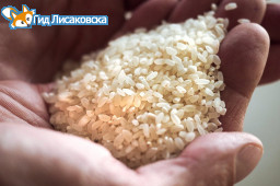 В Лисаковске выставили на продажу рис из стабфонда