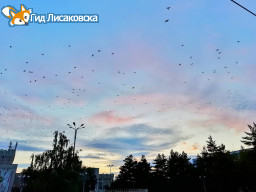 О погоде в Лисаковске 14 сентября О погоде в Лисаковске 14 сентября