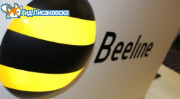 Beeline оштрафовали за низкую цену на интернет Beeline оштрафовали за низкую цену на интернет