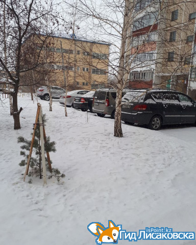 О погоде в Лисаковске 28 февраля