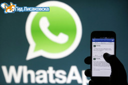 Сообщайте о нарушениях по WhatsApp